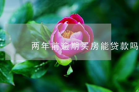 两年前逾期买房能贷款吗 两年前逾期买房能贷款吗