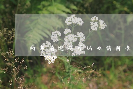 两年前逾期可以办信用卡吗 两年前逾期可以办信用卡吗