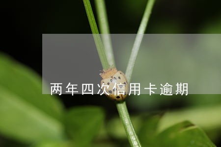 两年四次信用卡逾期 两年四次信用卡逾期