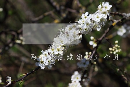 两年外连续逾期3个月 两年外连续逾期3个月