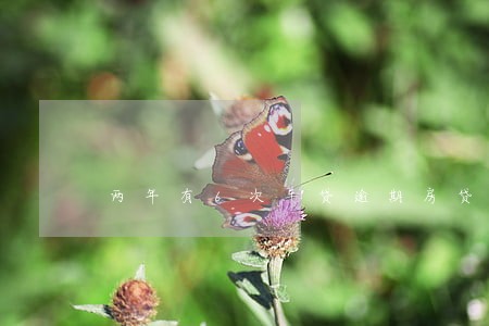 两年有6次车贷逾期房贷能下来吗 两年有6次车贷逾期房贷能下来吗