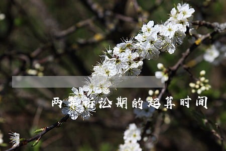 两年诉讼期的起算时间 两年诉讼期的起算时间
