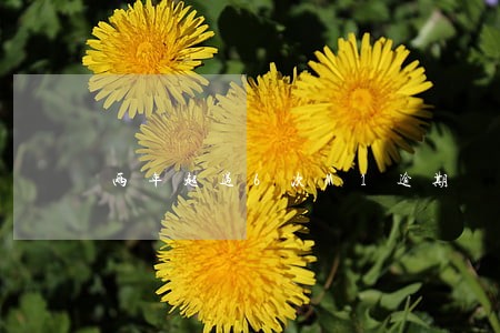 两年超过6次M1逾期 两年超过6次M1逾期