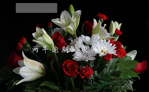 两年逾期3次房贷 两年逾期3次房贷