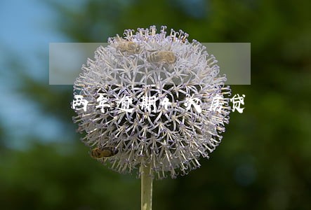 两年逾期4次房贷 两年逾期4次房贷