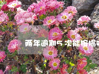 两年逾期5次能按揭吗 两年逾期5次能按揭吗
