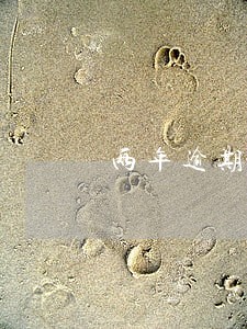 两年逾期6次怎么贷款利率 两年逾期6次怎么贷款利率