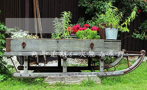 两年逾期6次能办房押 两年逾期6次能办房押