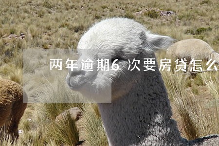 两年逾期6次要房贷怎么贷6 两年逾期6次要房贷怎么贷6
