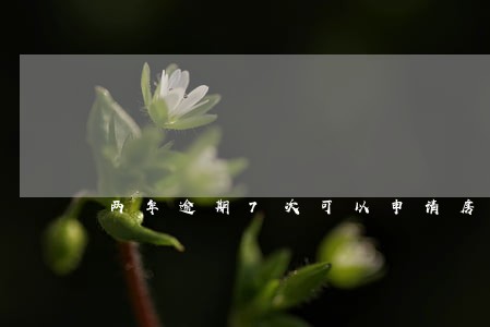 两年逾期7次可以申请房贷吗 两年逾期7次可以申请房贷吗
