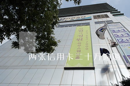 两张信用卡二十万逾期
