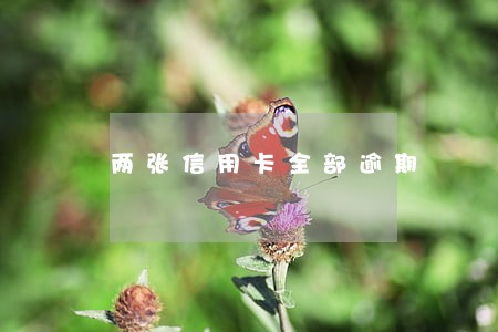 两张信用卡全部逾期 两张信用卡全部逾期