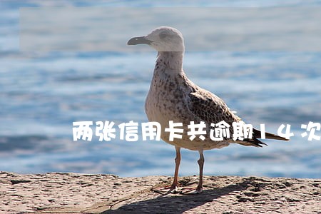 两张信用卡共逾期14次 两张信用卡共逾期14次