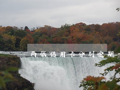 两张信用卡分别逾期一次 两张信用卡分别逾期一次