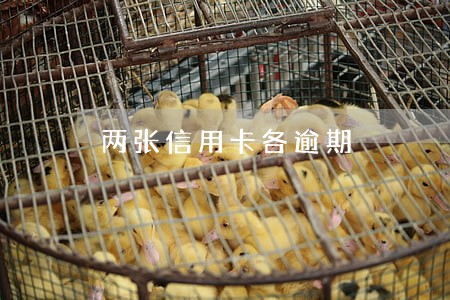 两张信用卡各逾期 两张信用卡各逾期