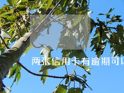 两张信用卡有逾期可以贷款吗 两张信用卡有逾期可以贷款吗