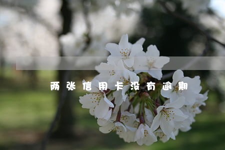 两张信用卡没有逾期 两张信用卡没有逾期