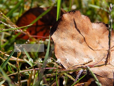 两张信用卡逾期3个月会怎样 两张信用卡逾期3个月会怎样