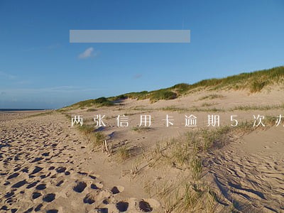 两张信用卡逾期5次办房贷 两张信用卡逾期5次办房贷
