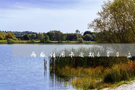两张信用卡逾期600立案 两张信用卡逾期600立案