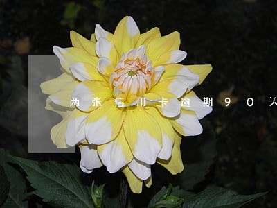 两张信用卡逾期90天了 两张信用卡逾期90天了