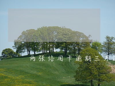 两张信用卡逾期三万还不上 两张信用卡逾期三万还不上