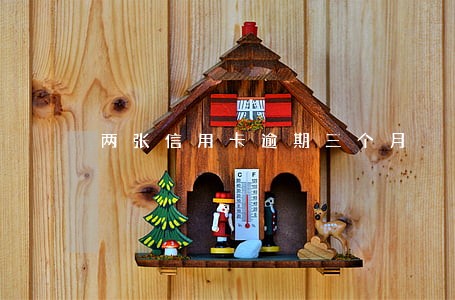 两张信用卡逾期三个月 两张信用卡逾期三个月
