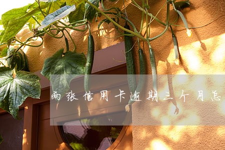 两张信用卡逾期三个月怎么办 两张信用卡逾期三个月怎么办