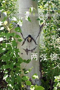 两张信用卡逾期会怎么样 两张信用卡逾期会怎么样