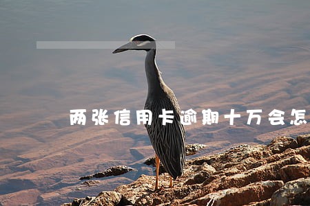 两张信用卡逾期十万会怎么样 两张信用卡逾期十万会怎么样