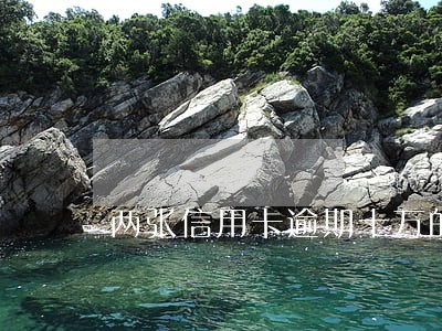 两张信用卡逾期十万的后果 两张信用卡逾期十万的后果