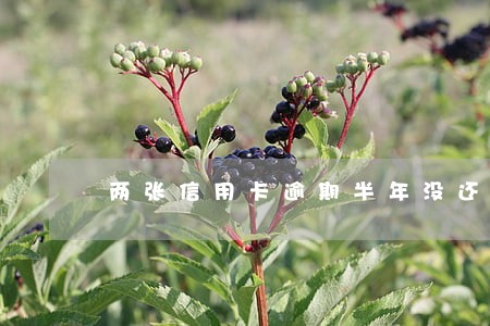 两张信用卡逾期半年没还碍事嘛 两张信用卡逾期半年没还碍事嘛
