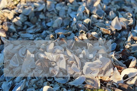 两张信用卡逾期各一次 两张信用卡逾期各一次