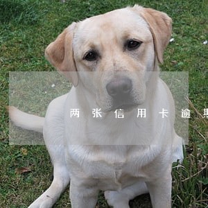 两张信用卡逾期怎么办 两张信用卡逾期怎么办