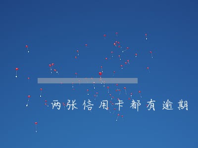 两张信用卡都有逾期 两张信用卡都有逾期