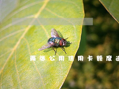 两张公用信用卡额度逾期 两张公用信用卡额度逾期