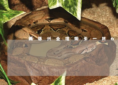 两张兴业信用卡一共6次逾期 两张兴业信用卡一共6次逾期