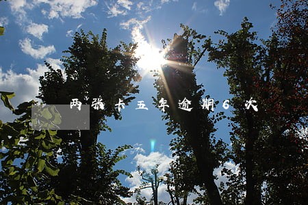 两张卡五年逾期6次 两张卡五年逾期6次