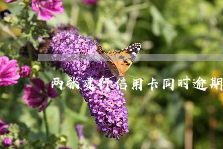 两张建行信用卡同时逾期五天 两张建行信用卡同时逾期五天