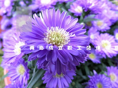 两当成立职工法律援助定点机构 两当成立职工法律援助定点机构