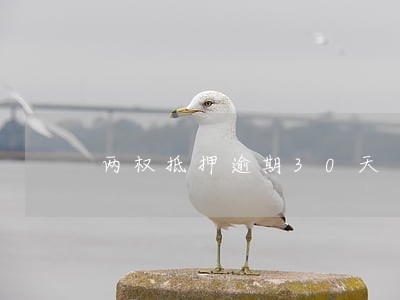 两权抵押逾期30天 两权抵押逾期30天