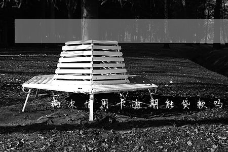 两次信用卡逾期能贷款吗