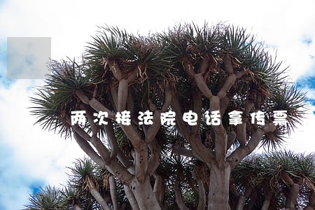 两次接法院电话拿传票 两次接法院电话拿传票
