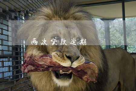 两次贷款逾期 两次贷款逾期