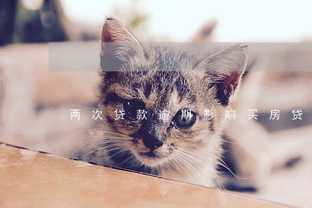 两次贷款逾期影响买房贷款吗 两次贷款逾期影响买房贷款吗