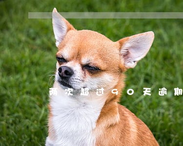 两次超过90天逾期