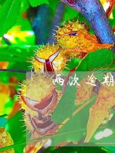 两次逾期1 两次逾期1