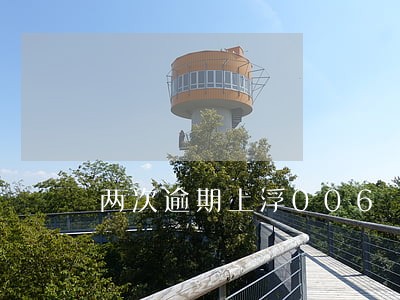 两次逾期上浮006 两次逾期上浮006