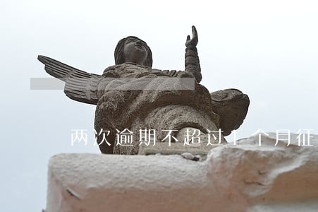 两次逾期不超过1个月征信 两次逾期不超过1个月征信