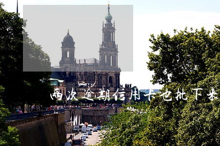 两次逾期信用卡也批下来了